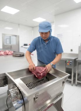 Máy thái thịt họng nạp 25x18 Cm Lâm Gia 3Kw