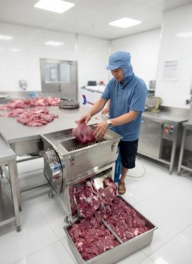 Máy thái thịt họng nạp 25x18 Cm Lâm Gia 3Kw